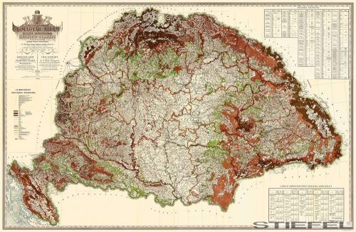 Magyarország erdészeti falitérkép 
